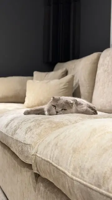 Instagram post preview 1 from momslittlestar