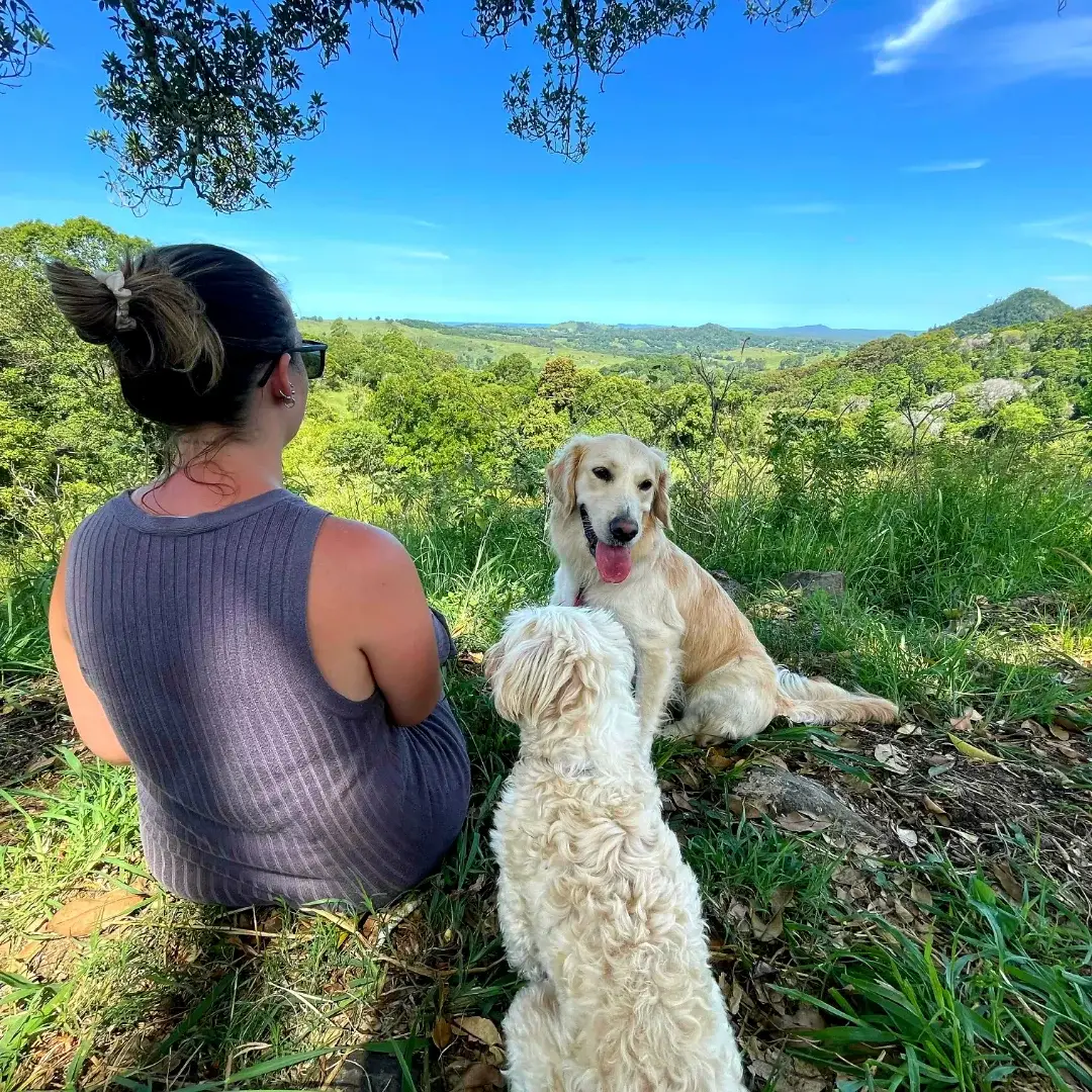 Instagram post preview 3 from adventuresofmargotandroxy
