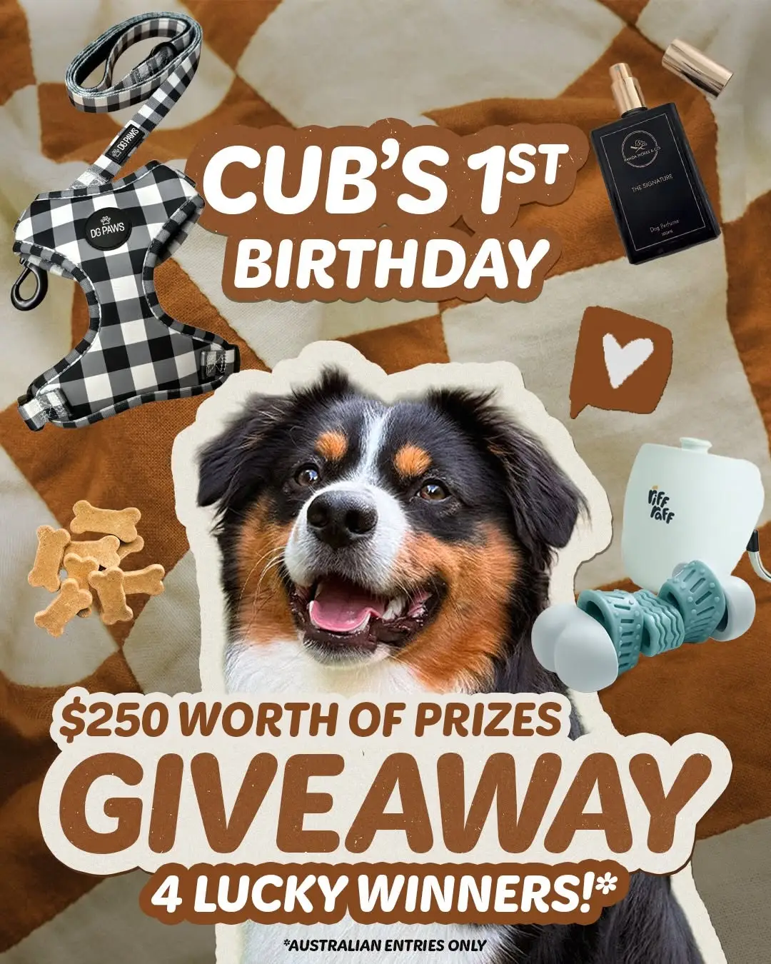 Instagram post preview 2 from cubsclub_mas