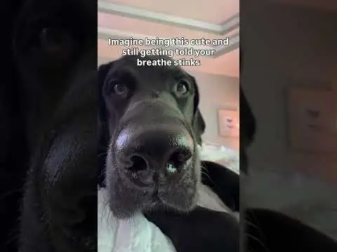 Youtube post preview 3 from UC4UlJQPT_GUrRTxxW9-WVkg