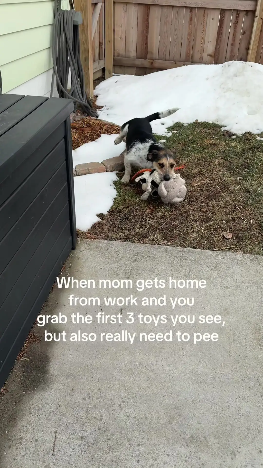 Tiktok post thumbnail