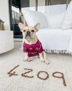 Instagram post thumbnail