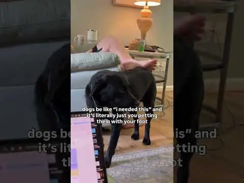 Youtube post preview 2 from UC4UlJQPT_GUrRTxxW9-WVkg