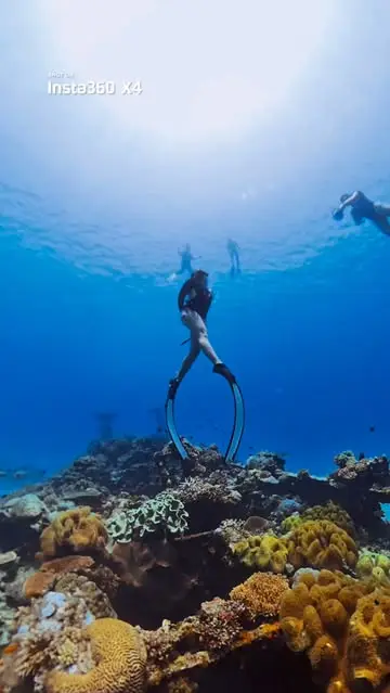 Instagram post thumbnail
