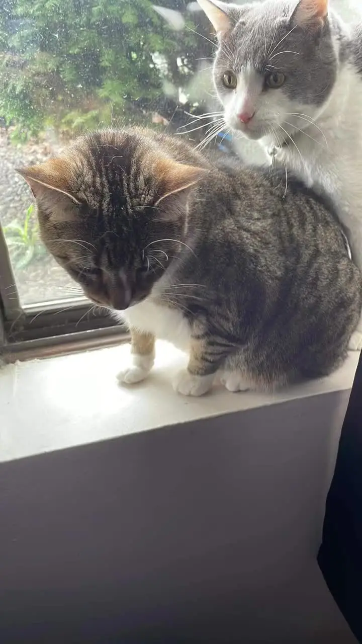 Tiktok post thumbnail