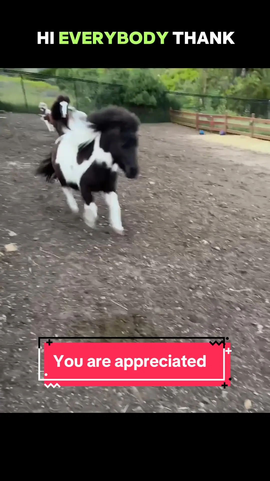Tiktok post preview 2 from @closetotheeartheq