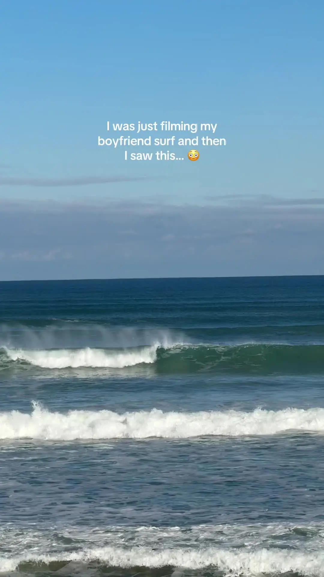 Tiktok post preview 3 from @froth_nugget