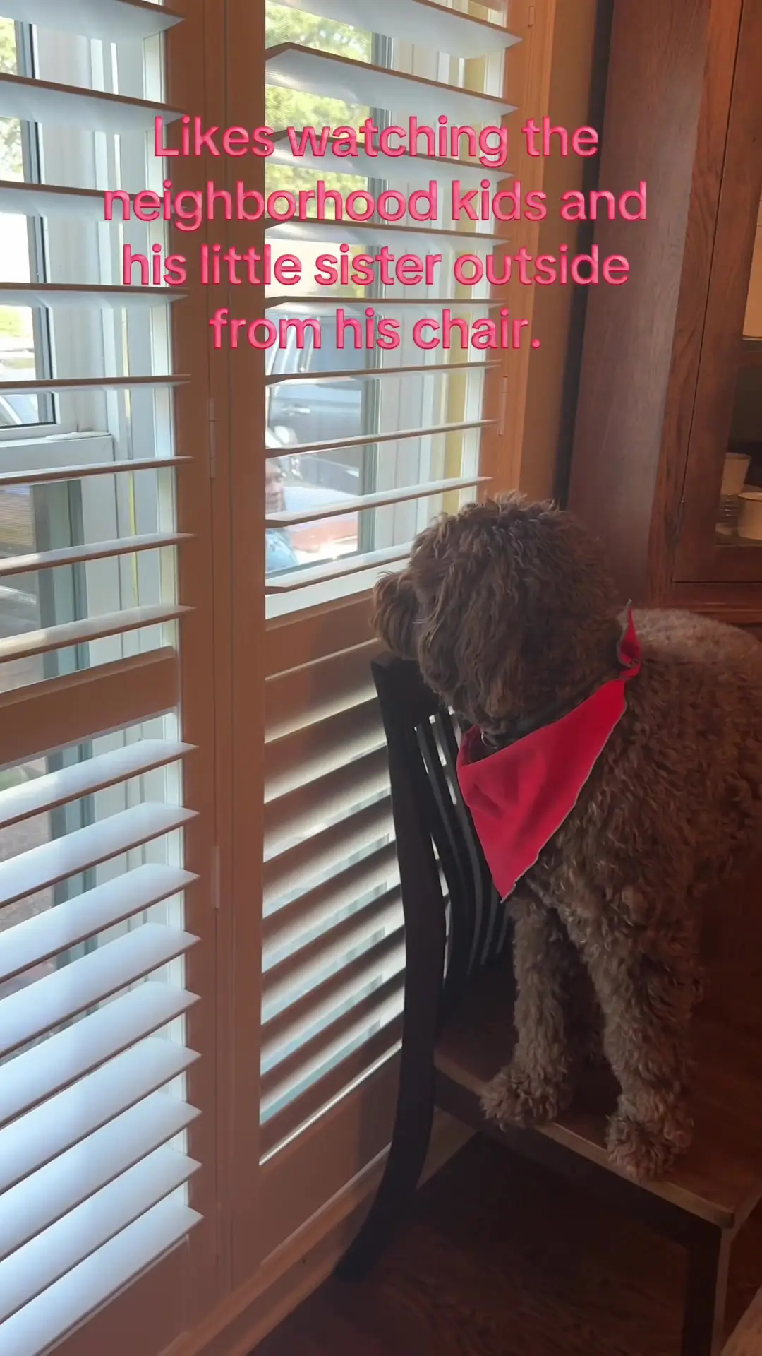 Tiktok post preview 2 from @itsdudethedoodle