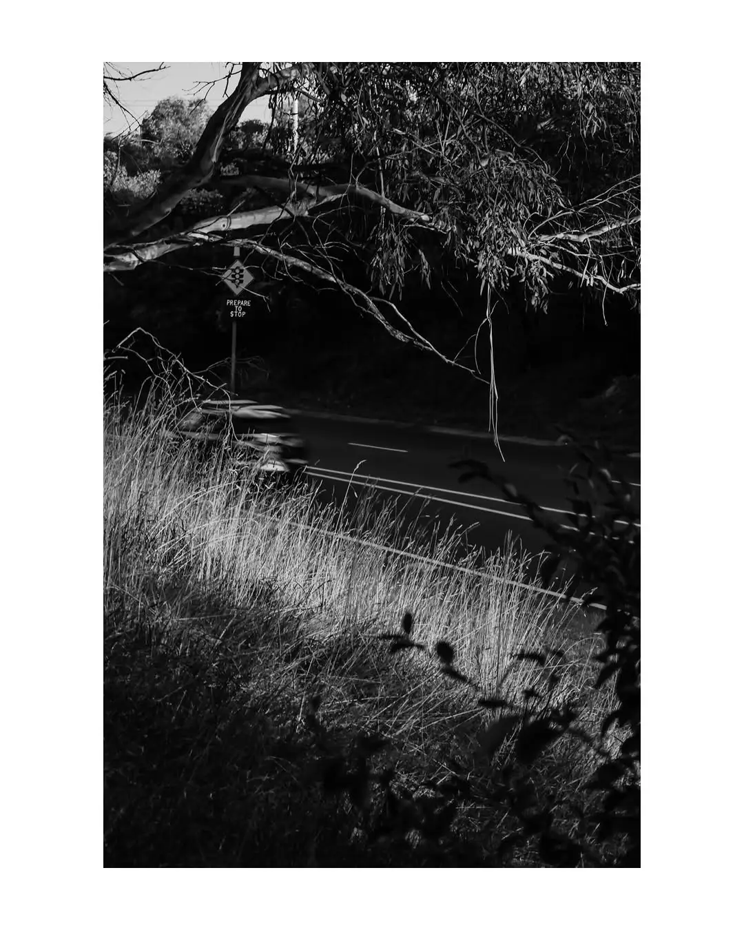 Instagram post preview 3 from laura_jaeger_