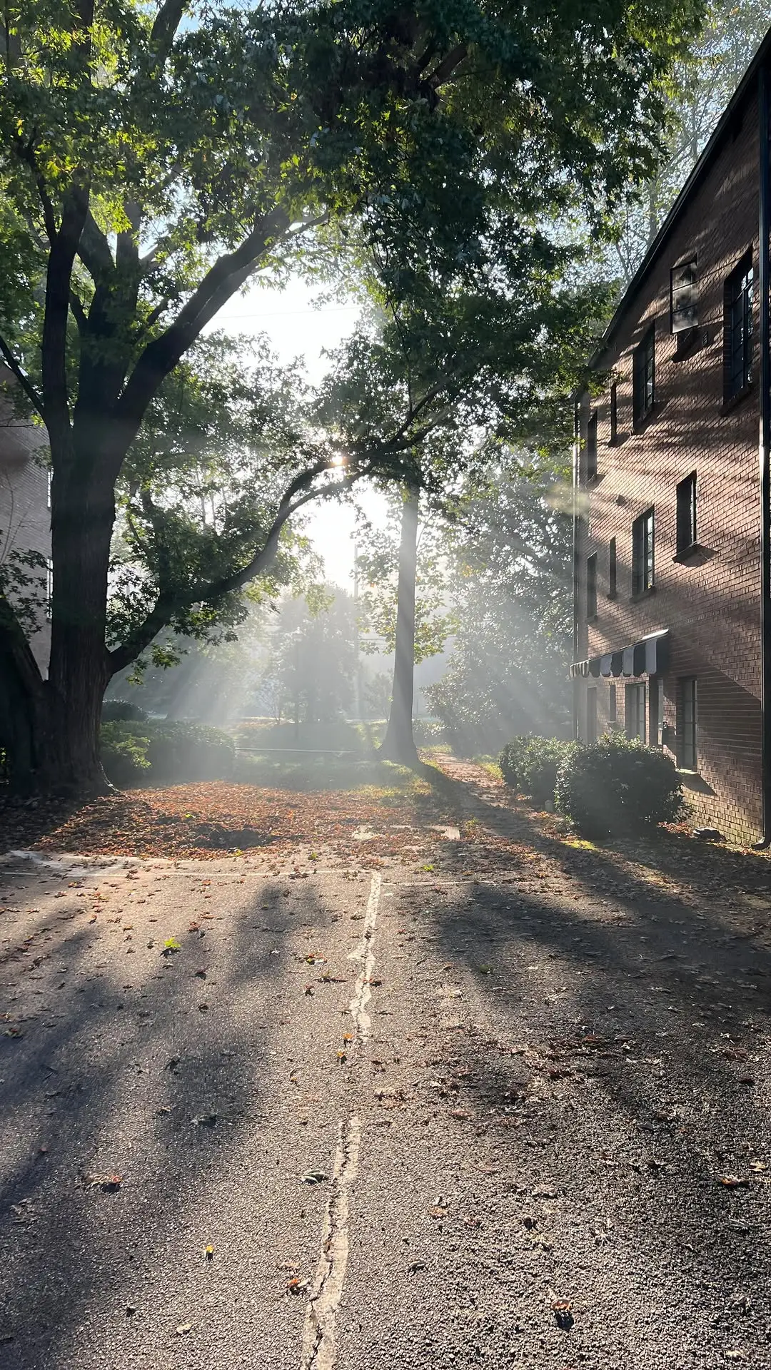 Instagram post thumbnail