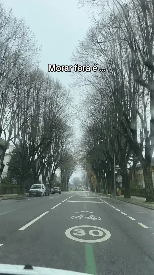 Tiktok post preview 1 from @brasidacastro