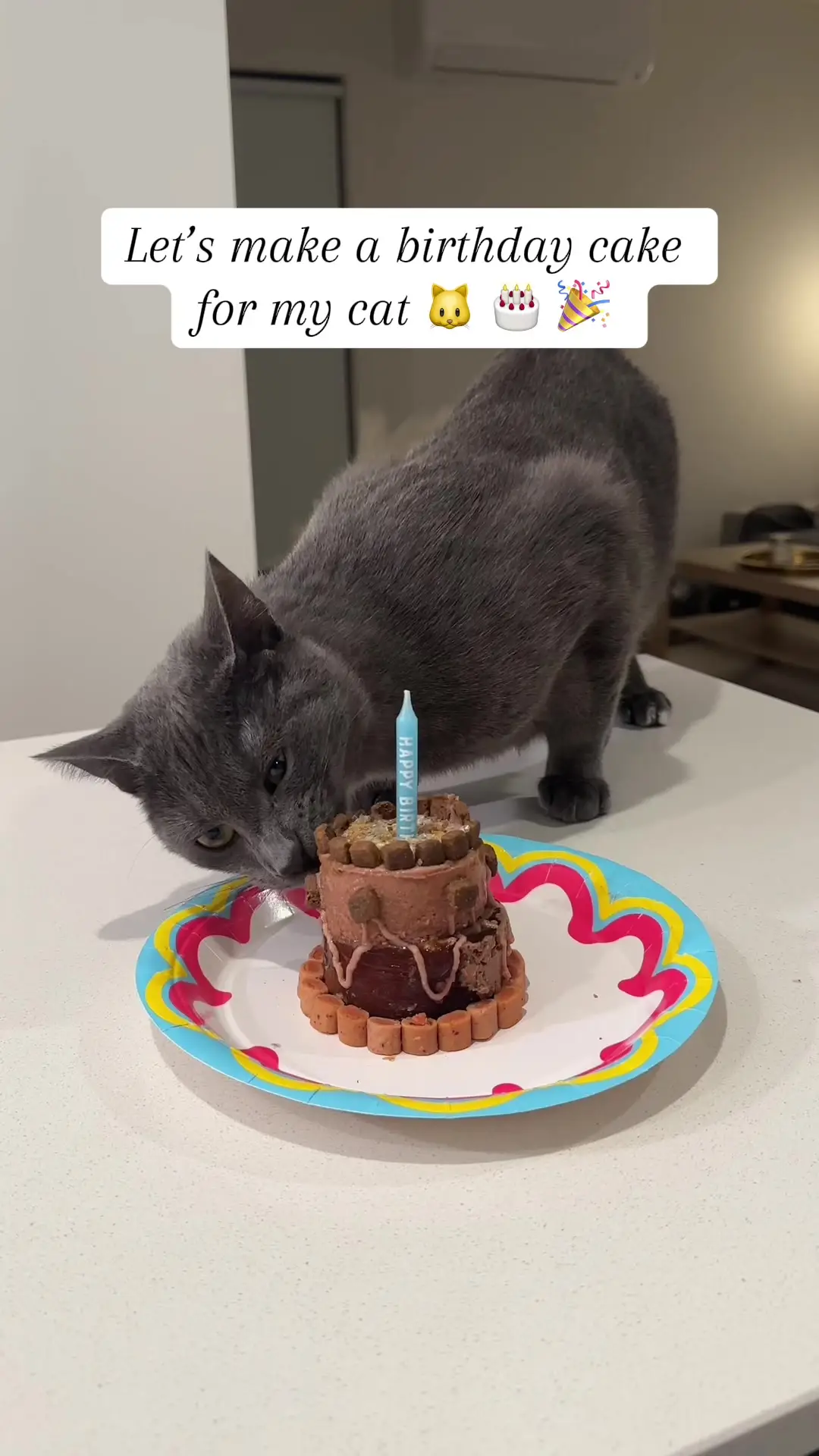 Tiktok post preview 2 from @brieana.young