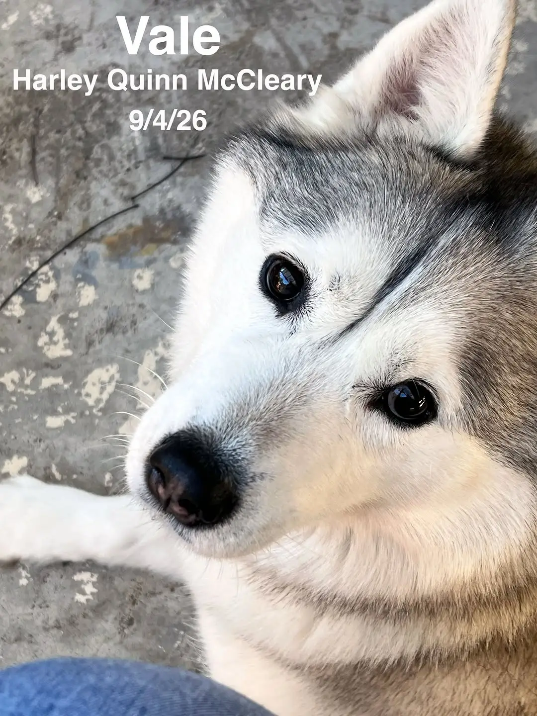 Instagram post thumbnail