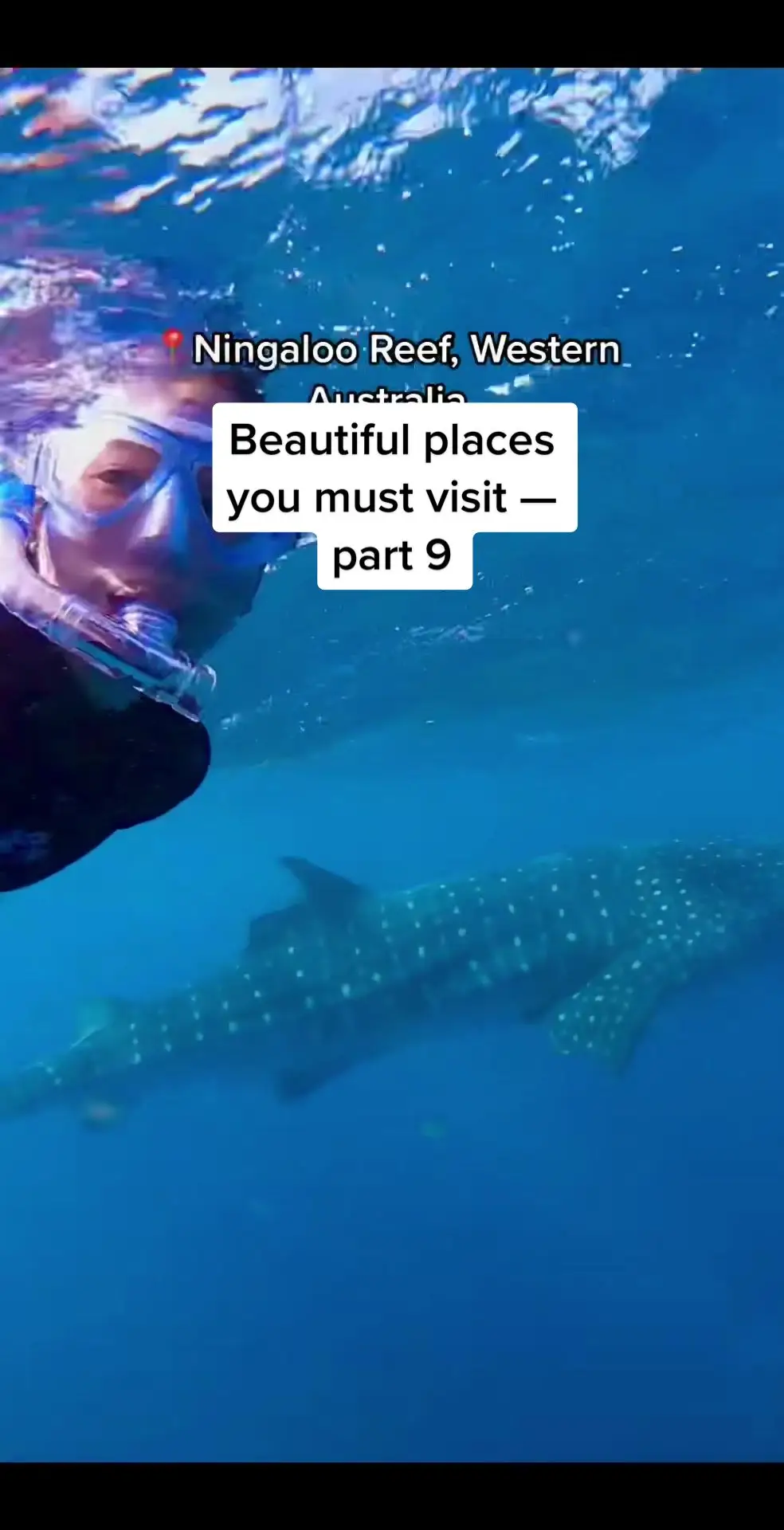 Tiktok post preview 3 from @jessonhertravels