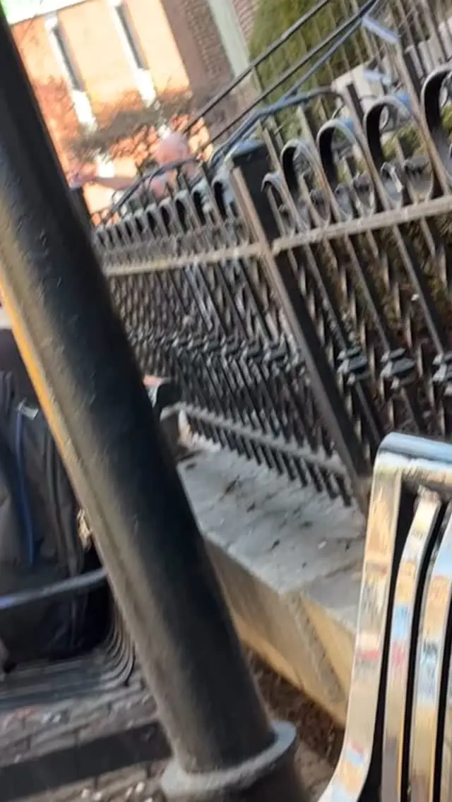 Instagram post thumbnail