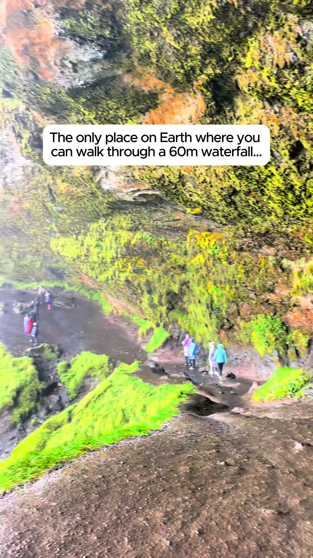 Tiktok post preview 3 from @travelling_spaghetti