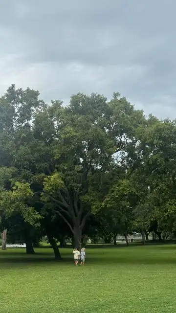 Instagram post thumbnail