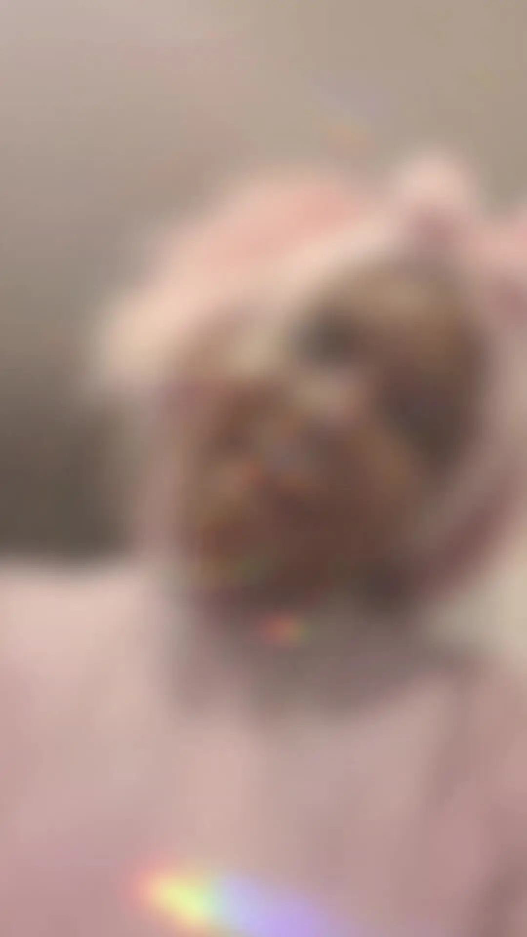 Tiktok post preview 2 from @whitneymommaa