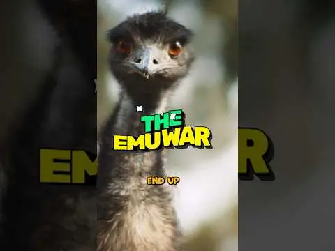 Youtube post preview 3 from UCLm-Is_zwpk0hrz_OOKaHOQ