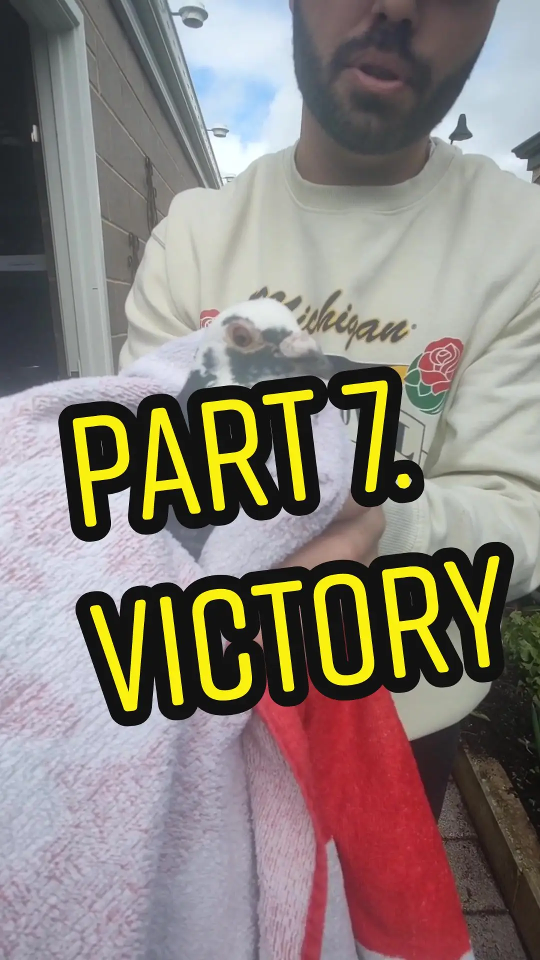 Tiktok post preview 2 from @blakeproud
