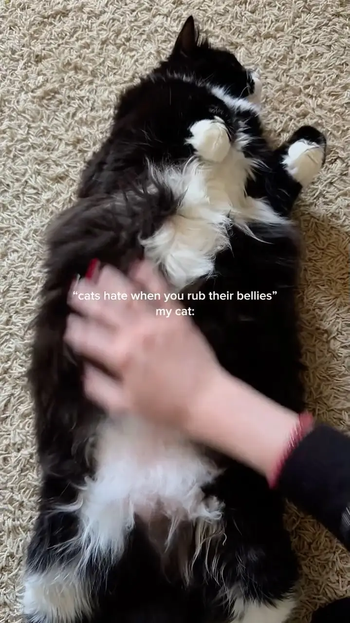 Instagram post thumbnail
