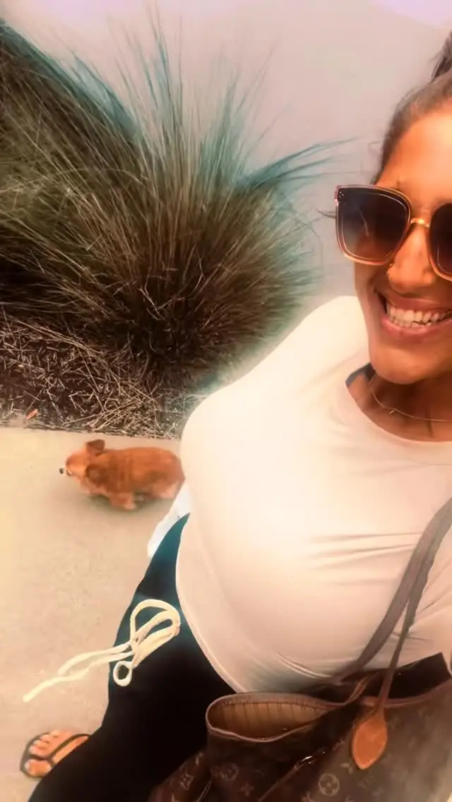 Instagram post thumbnail