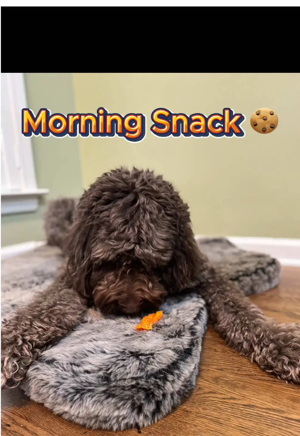 Tiktok post preview 3 from @itsdudethedoodle