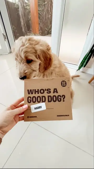 Instagram post thumbnail
