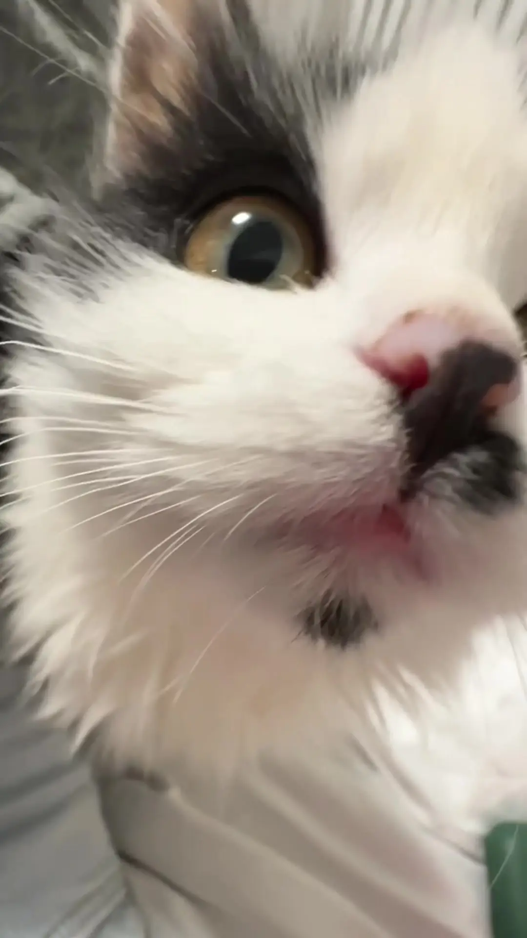Tiktok post thumbnail