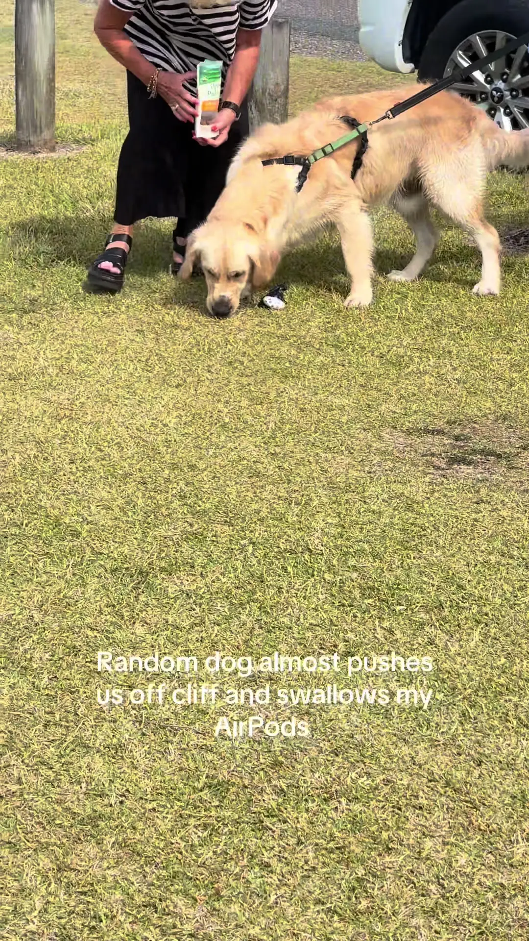 Tiktok post preview 2 from @lucaaella