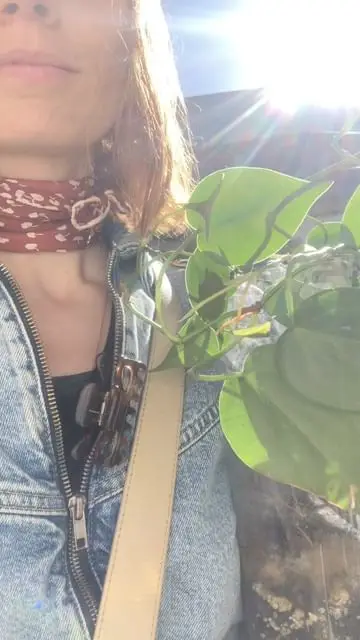 Instagram post thumbnail