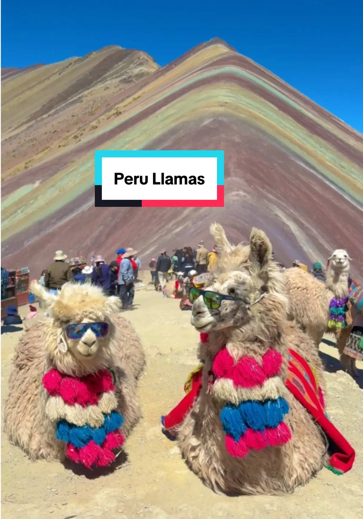 Tiktok post preview 3 from @danny.molly.travel