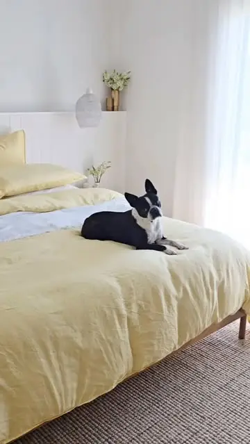 Instagram post preview 2 from vande.home