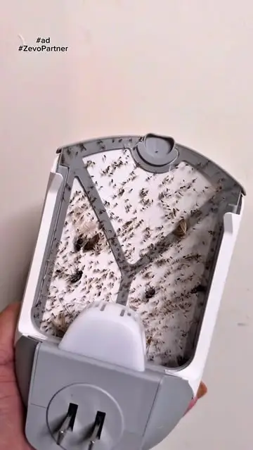 Instagram post thumbnail
