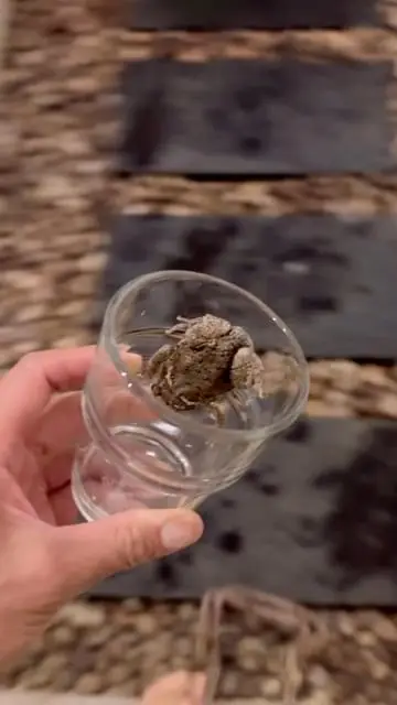 Instagram post thumbnail