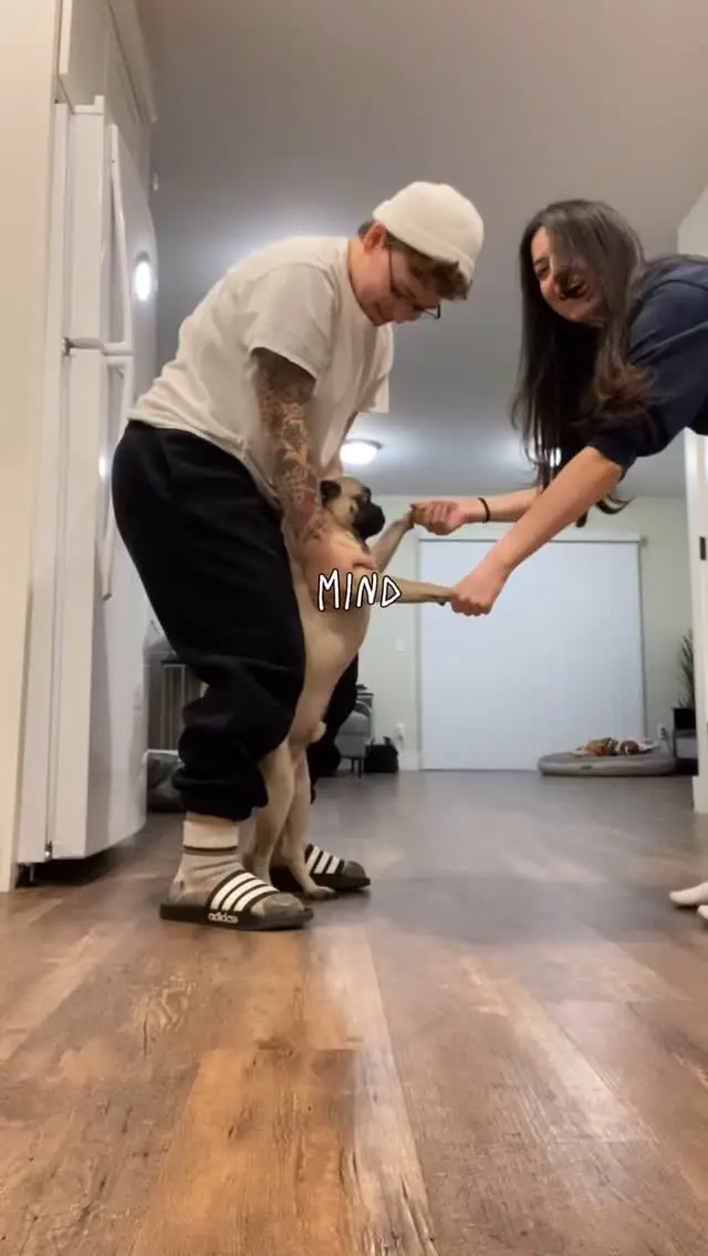 Instagram post thumbnail