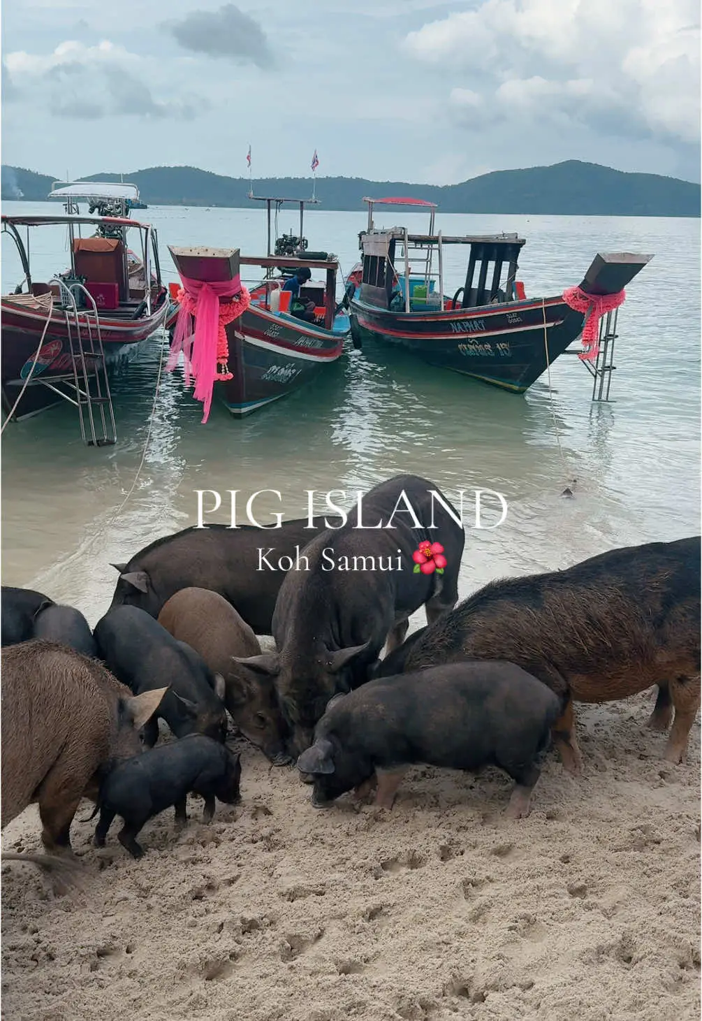 Tiktok post preview 2 from @exploringwithlois