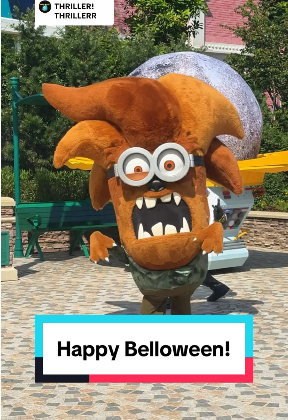 Tiktok post thumbnail