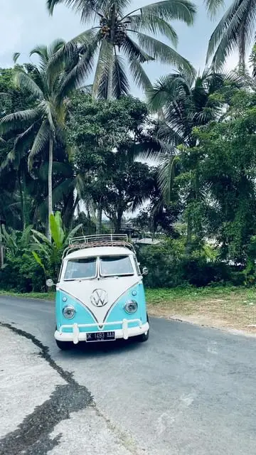 Instagram post thumbnail