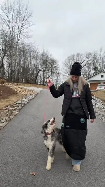 Instagram post preview 3 from jill_loren_ward