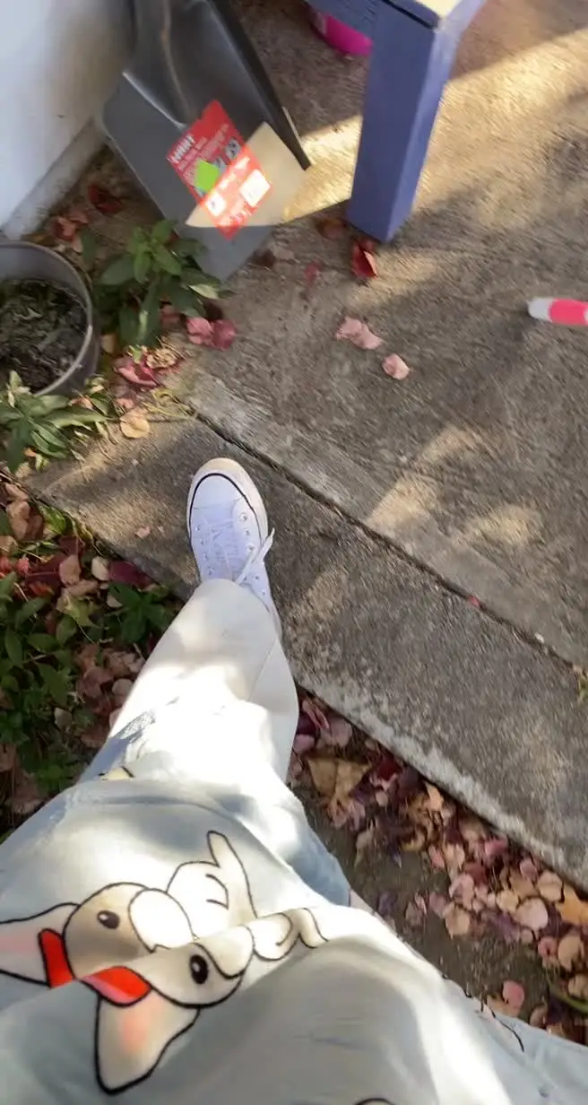 Tiktok post preview 2 from @chantelle.shaleen