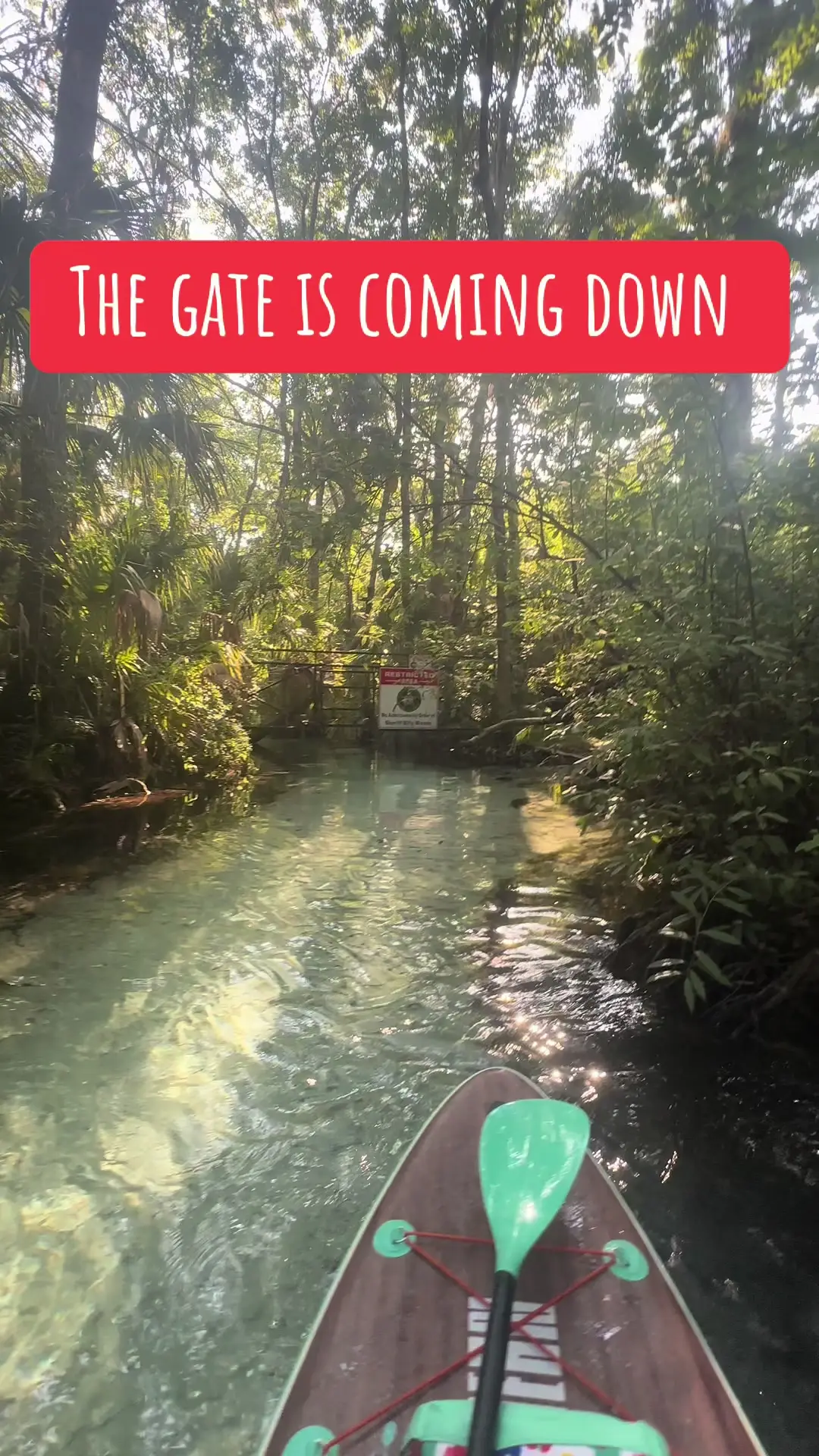 Tiktok post preview 3 from @lindsey_outdoors