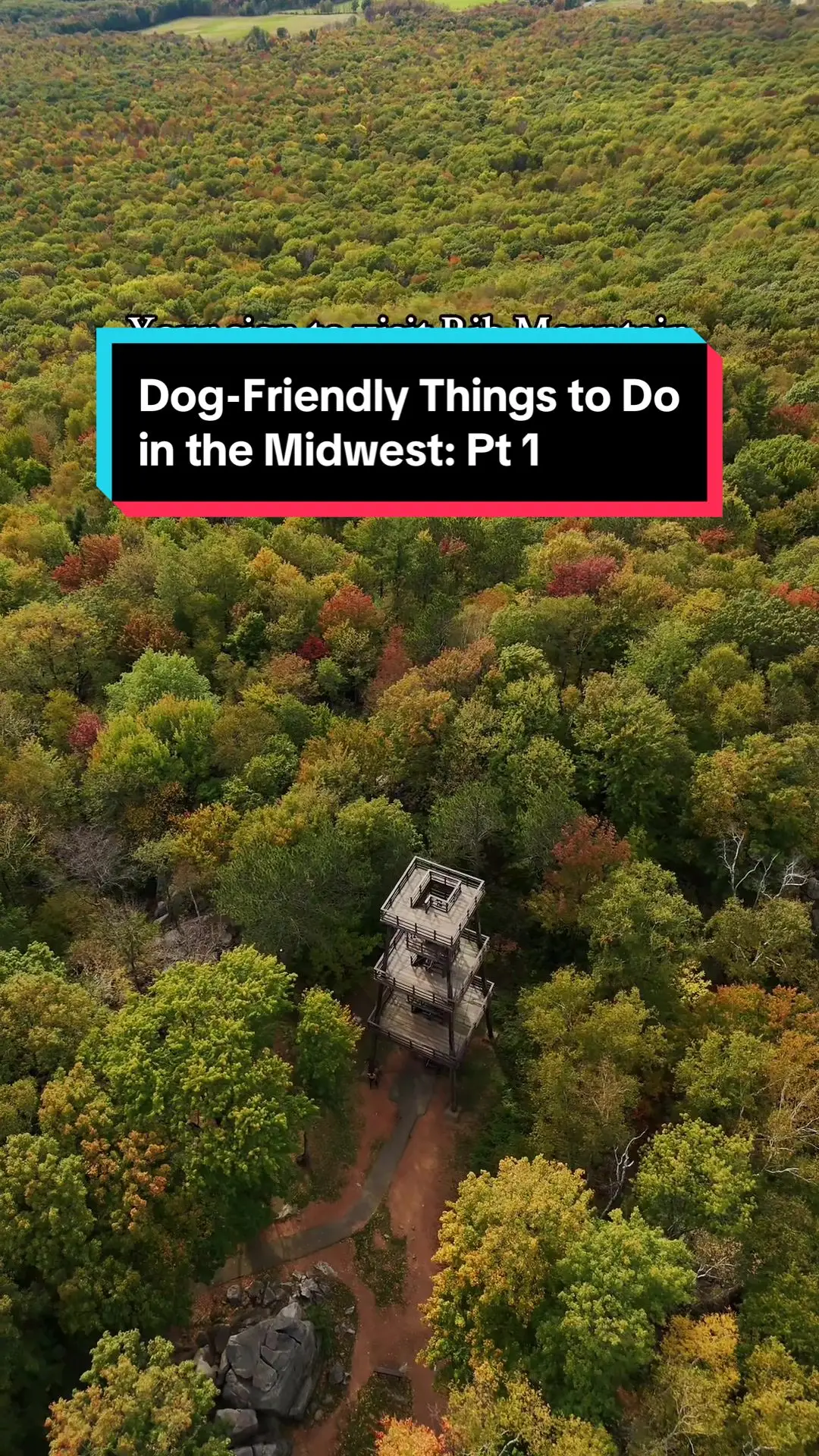 Tiktok post preview 3 from @urbanbirddogs