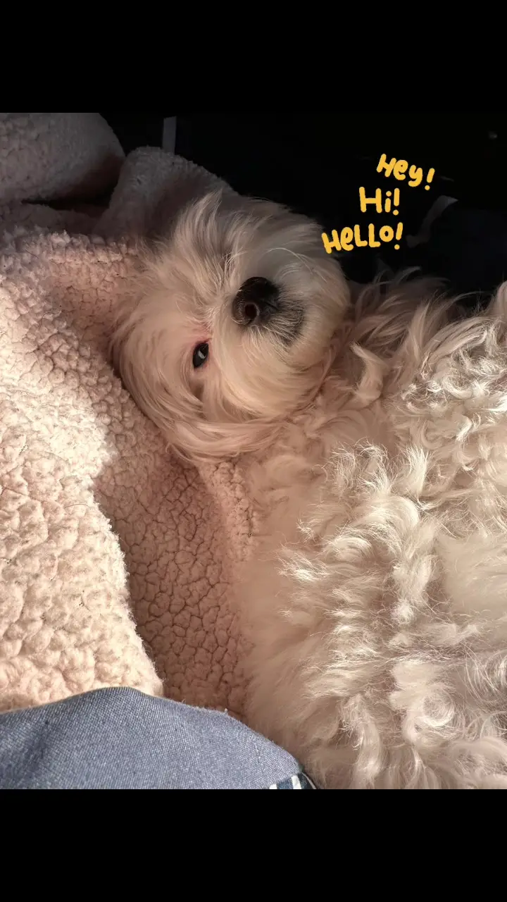 Tiktok post preview 3 from @alxpla02