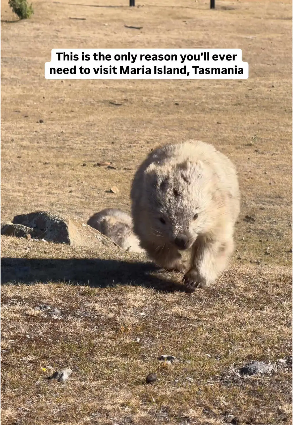 Tiktok post preview 2 from @elises.traveldiary