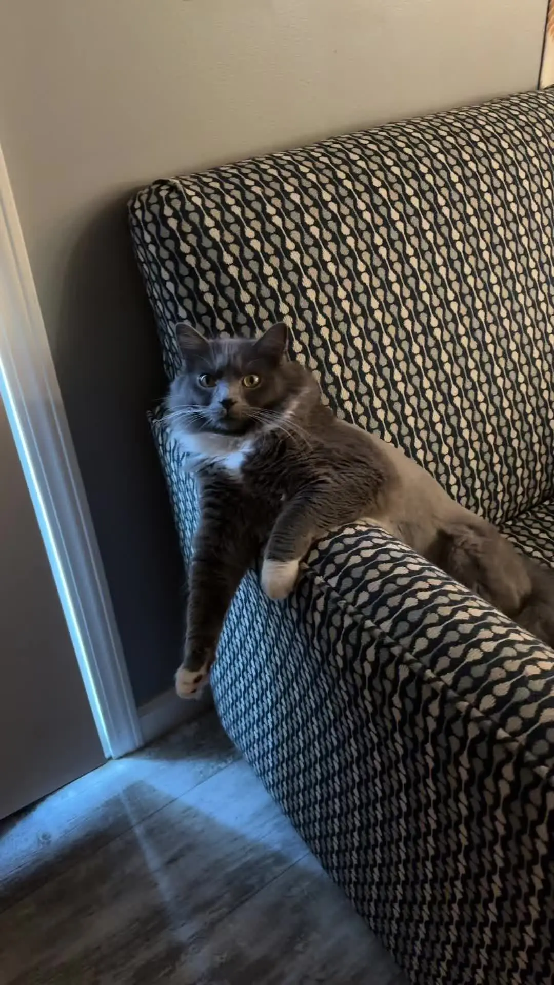 Tiktok post thumbnail