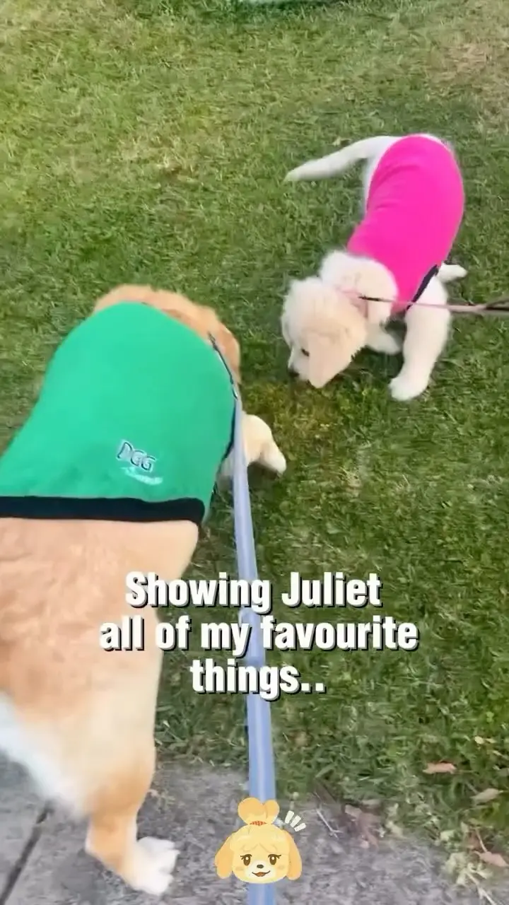 Instagram post thumbnail