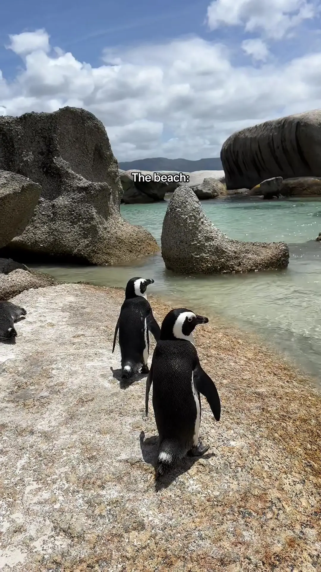 Tiktok post preview 2 from @jadesimkins