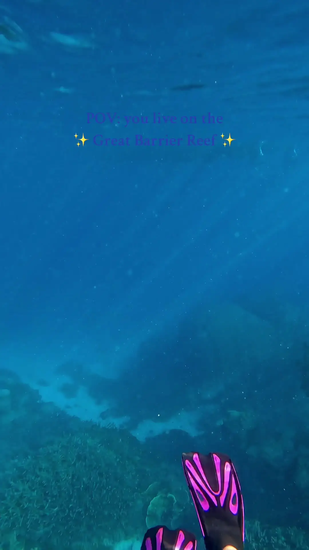 Tiktok post preview 2 from @blue.eyed.explorer