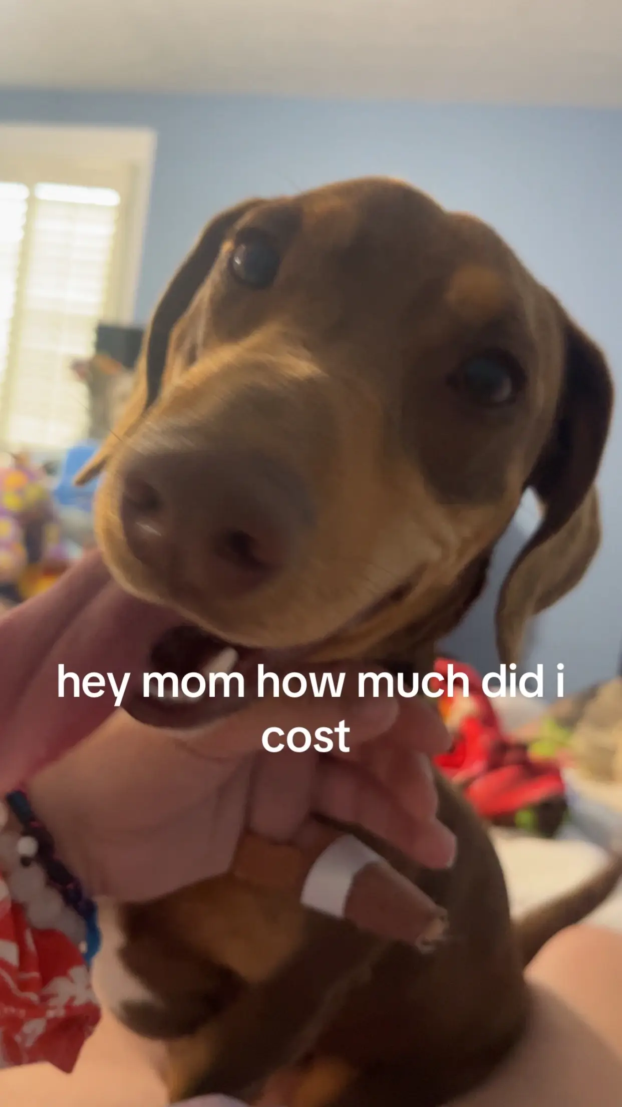 Tiktok post thumbnail